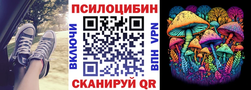 Псилоцибиновые грибы прущие грибы Дубовка