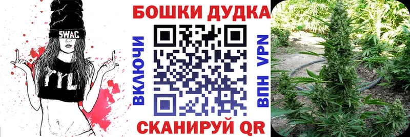 МАРИХУАНА планчик  Дубовка 